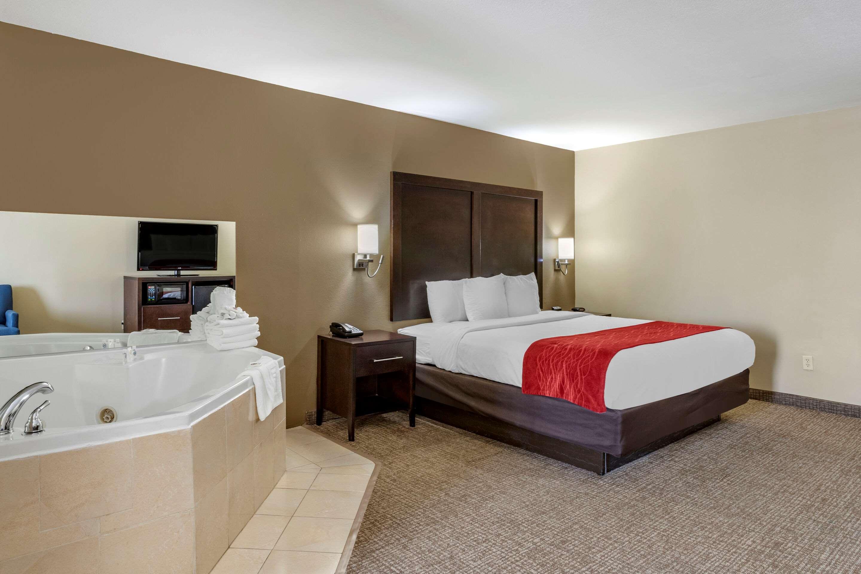 Comfort Inn & Suites FM1960-Champions — photo 5