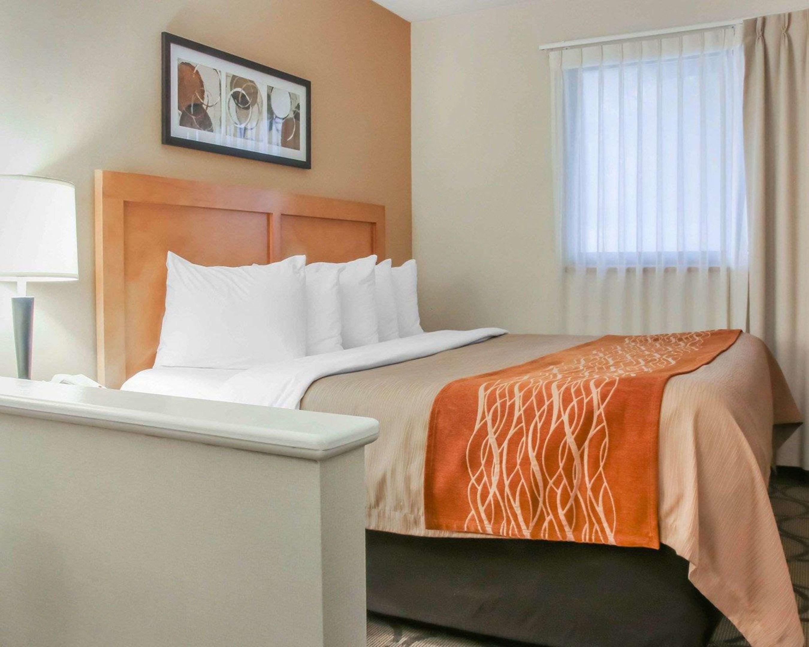 Comfort Inn South — photo 5