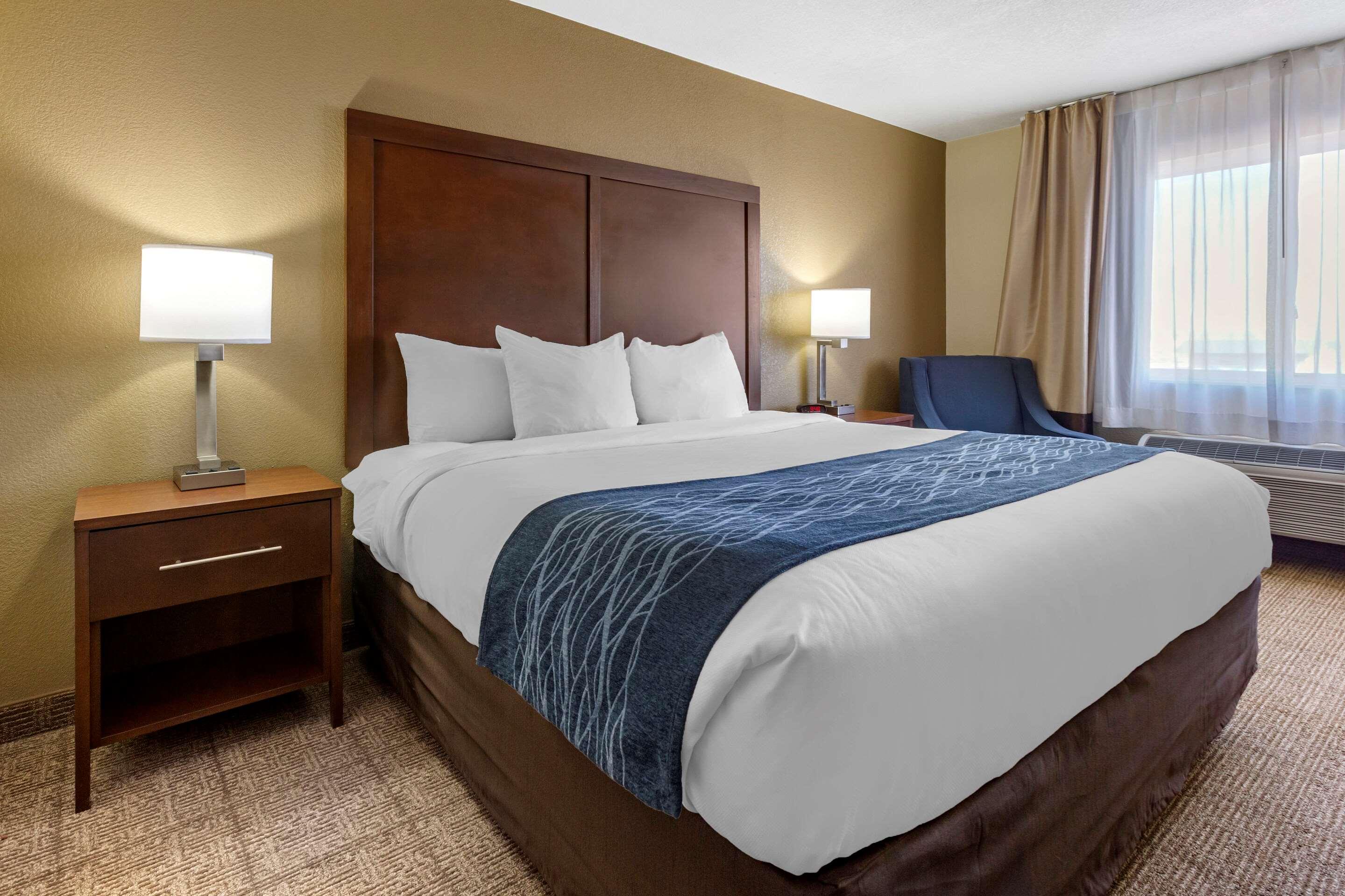 Comfort Inn & Suites North — photo 5
