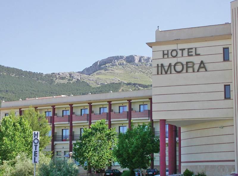 Partner Imora — photo 3