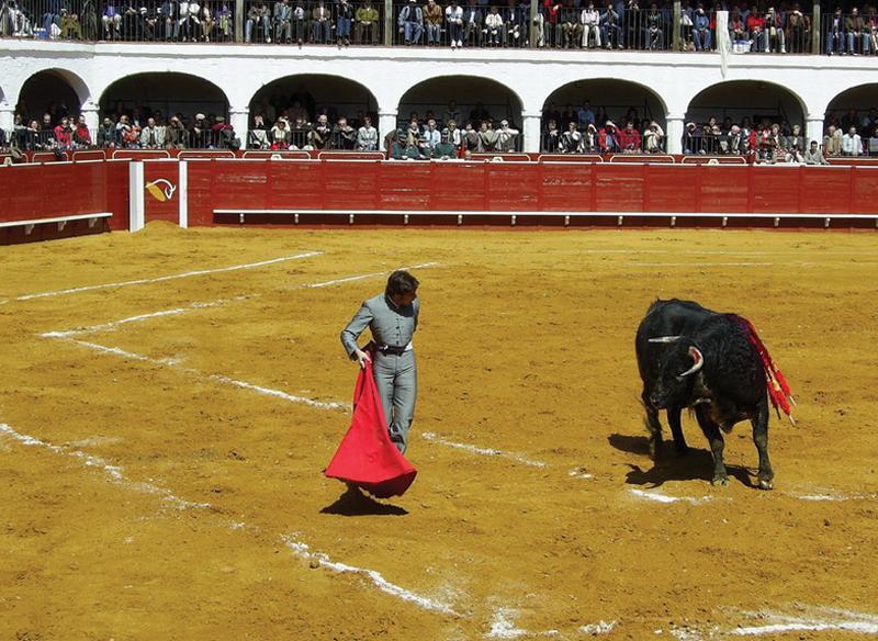 Hotel Plaza de Toros — photo 3