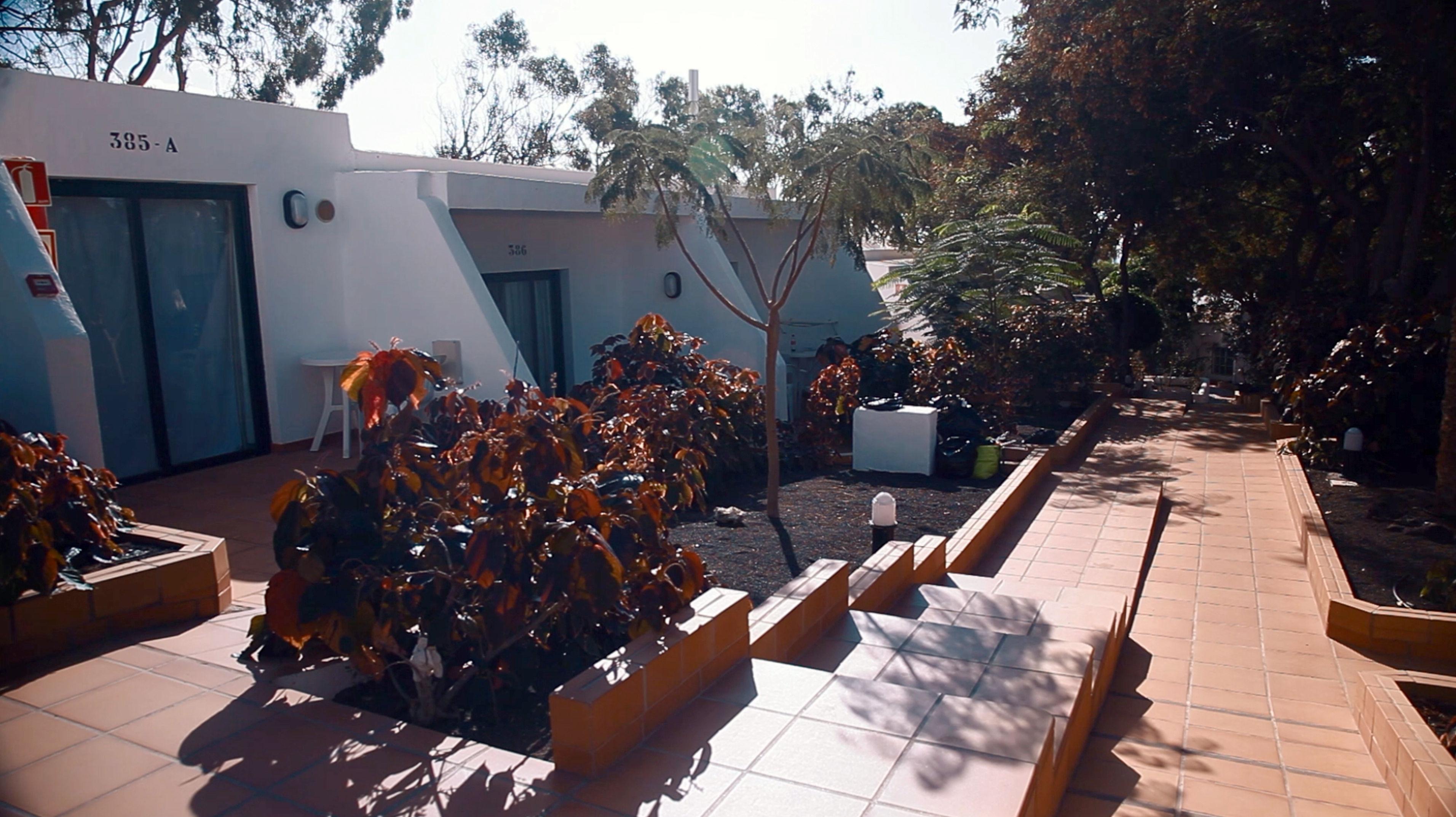 THB Flora — photo 4