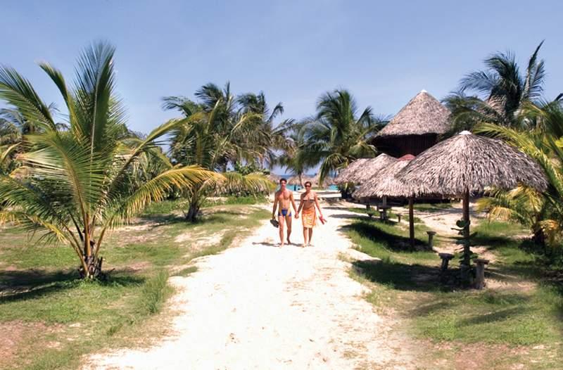 Gran Caribe Sun Beach — photo 4
