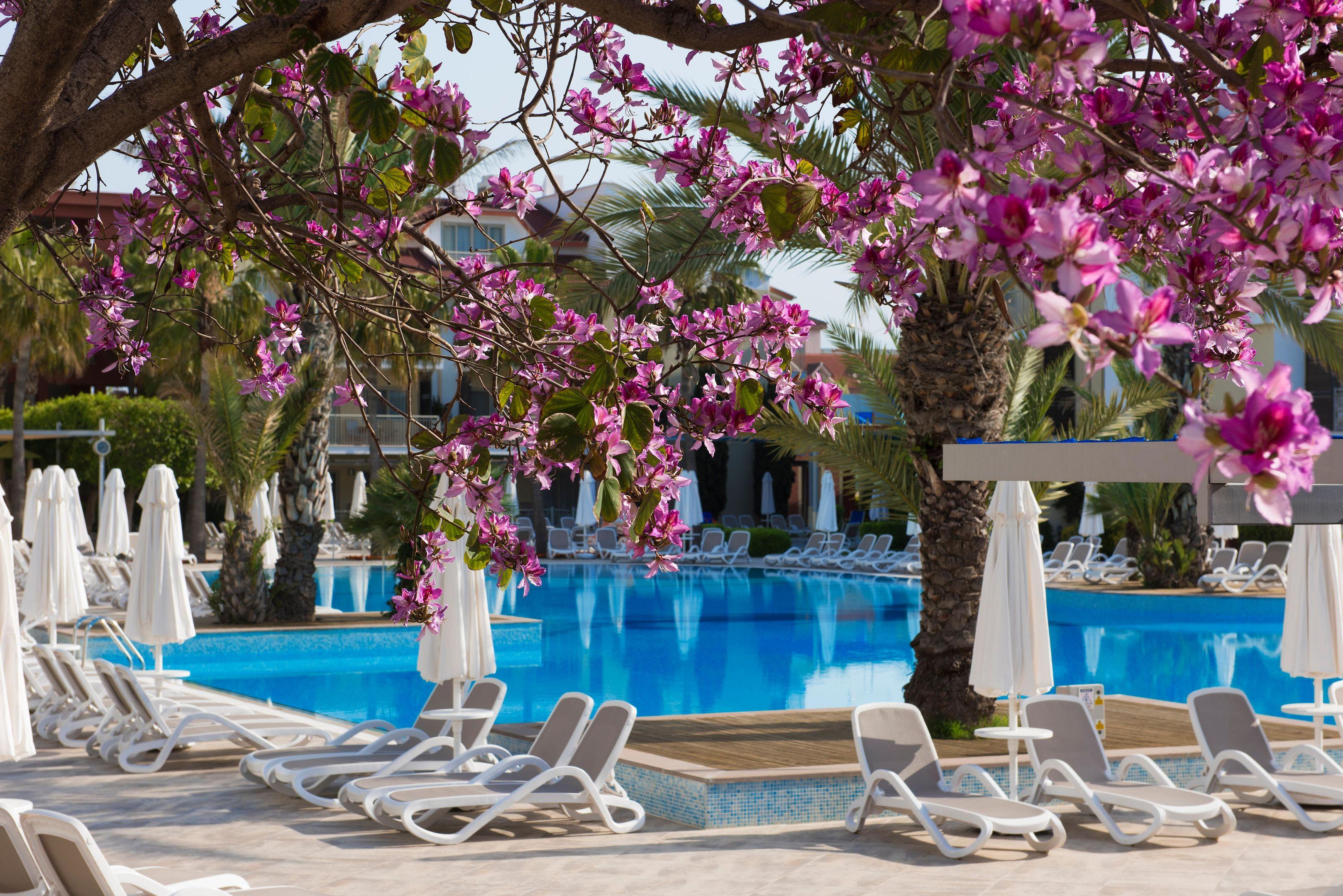 Barut B Suites — photo 4