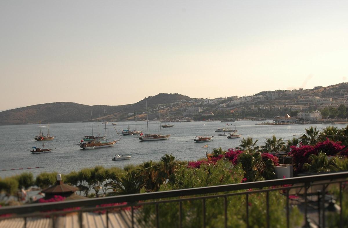 Sami Beach Hotel — photo 4