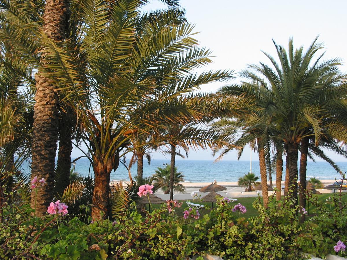 El Hana Residence — photo 4