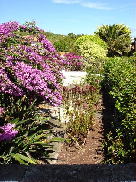 Quinta das Buganvilias — photo 4
