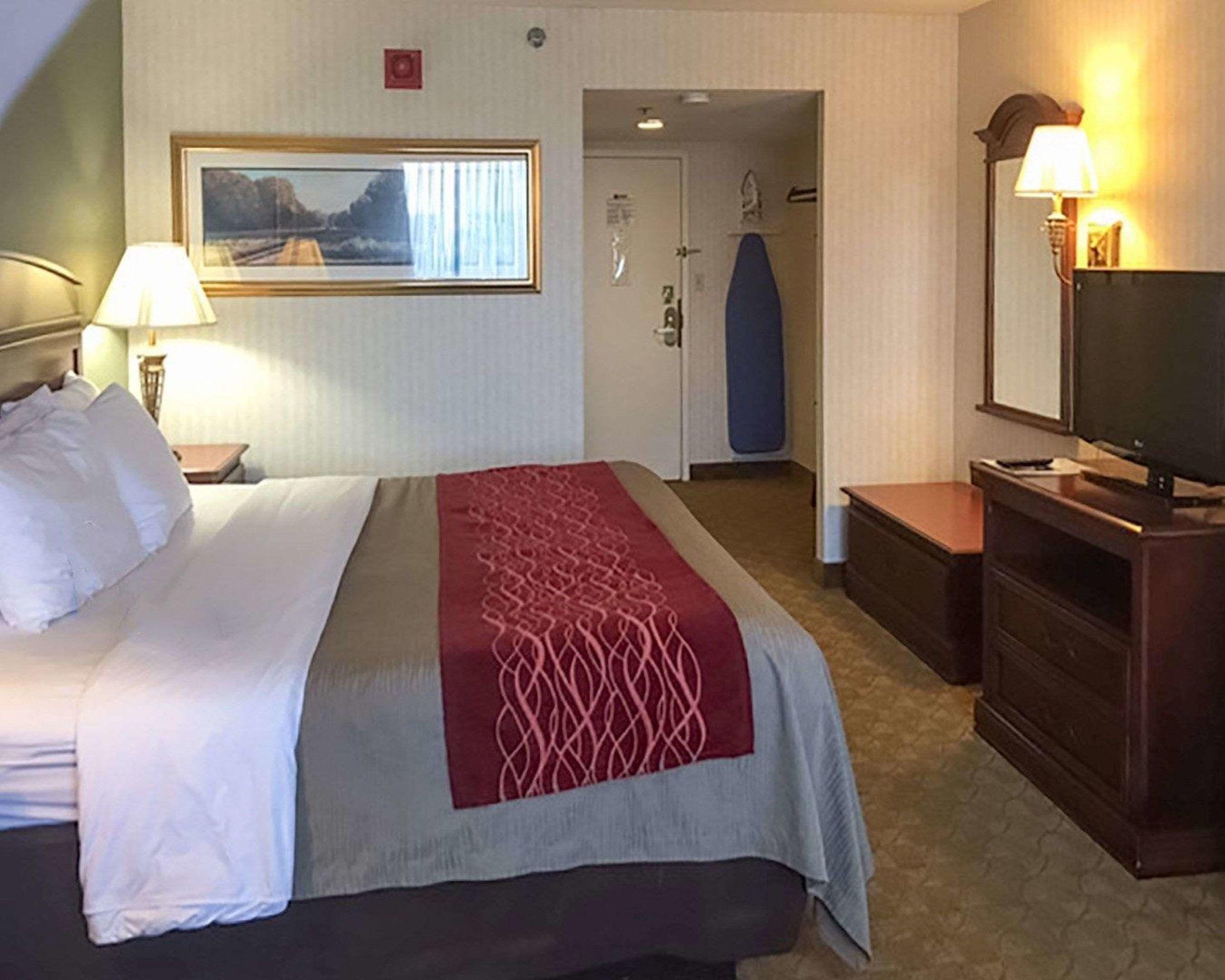 Comfort Inn Springfield — photo 3