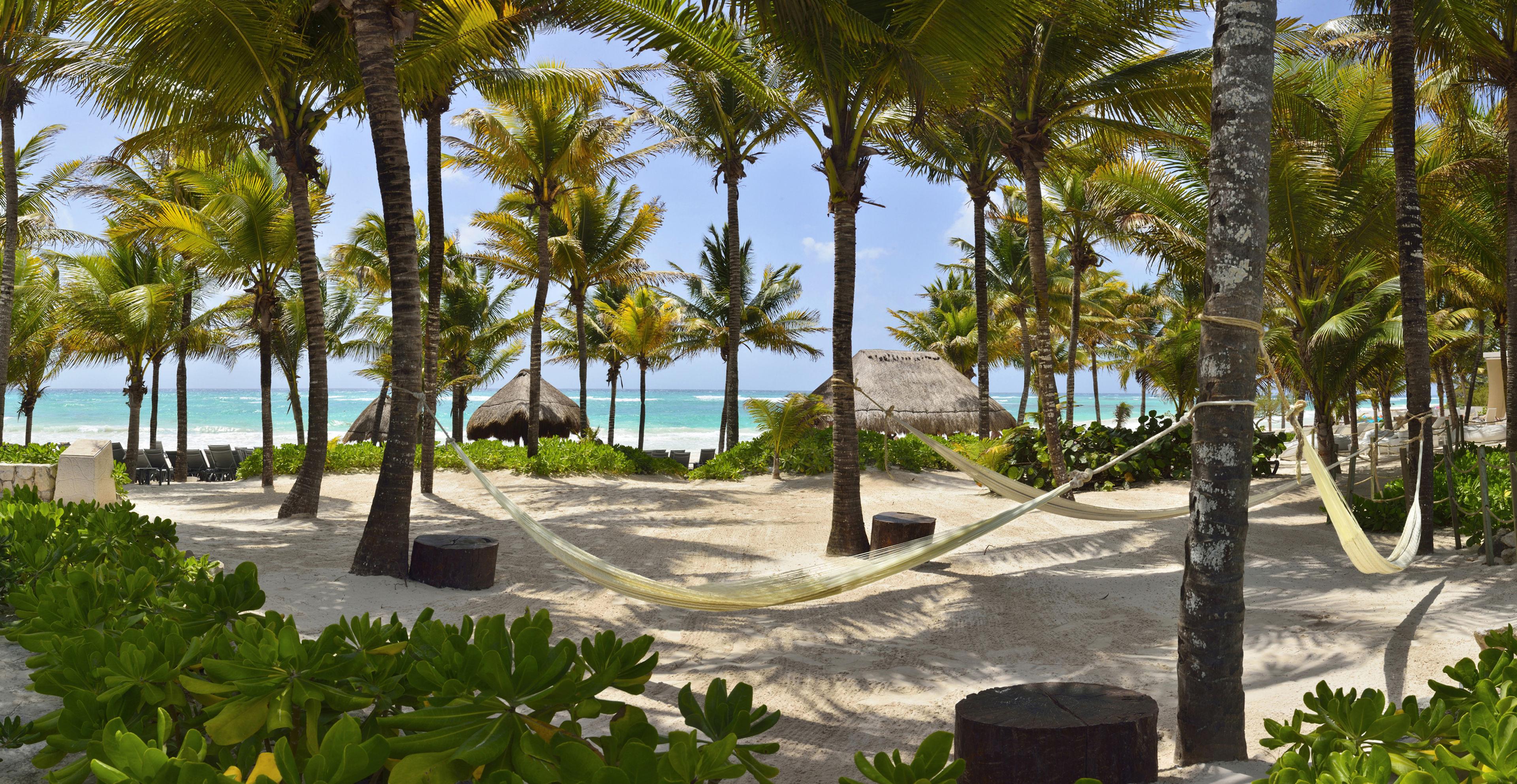 Catalonia Royal Tulum — photo 3