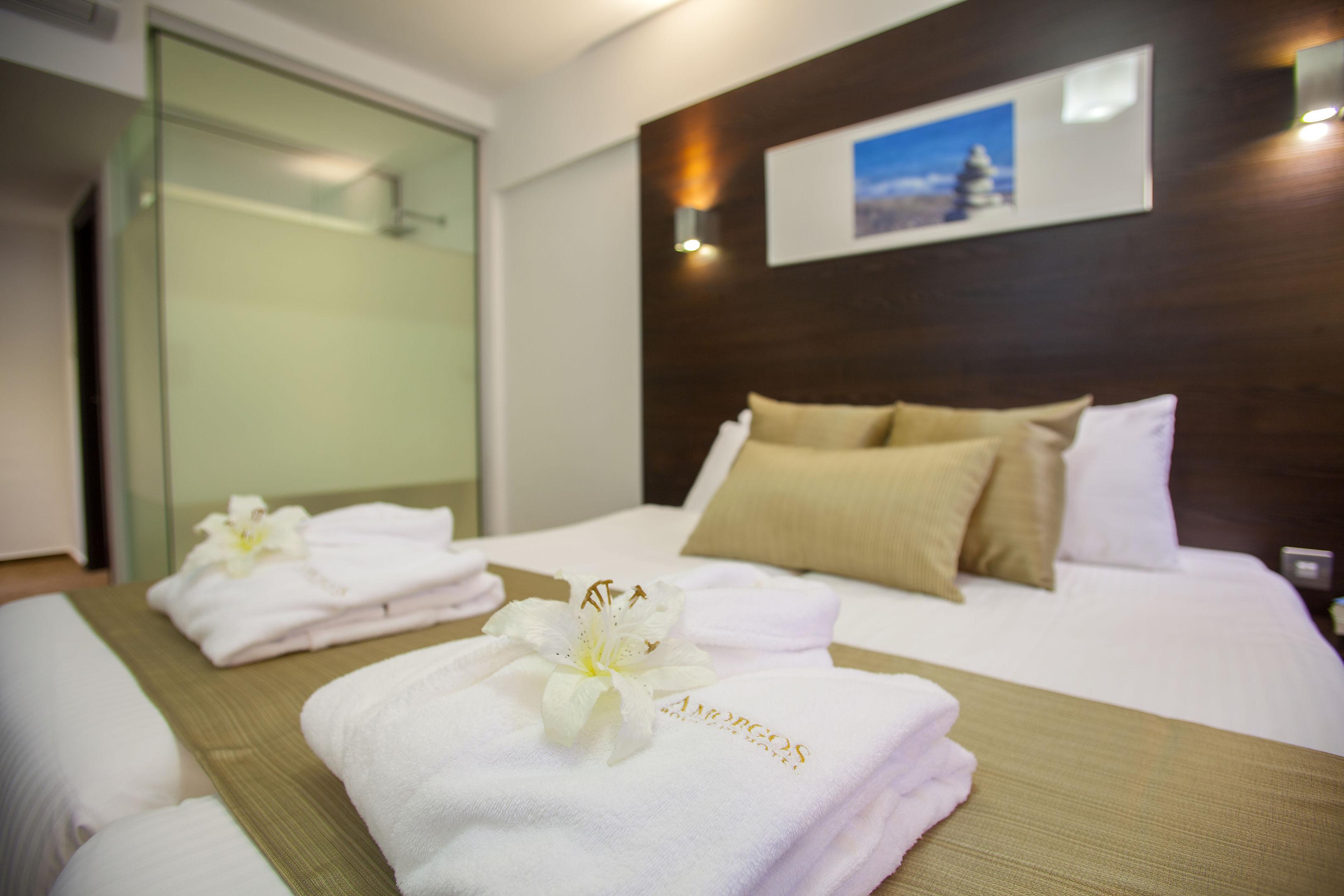 Amorgos Boutique Hotel — photo 4