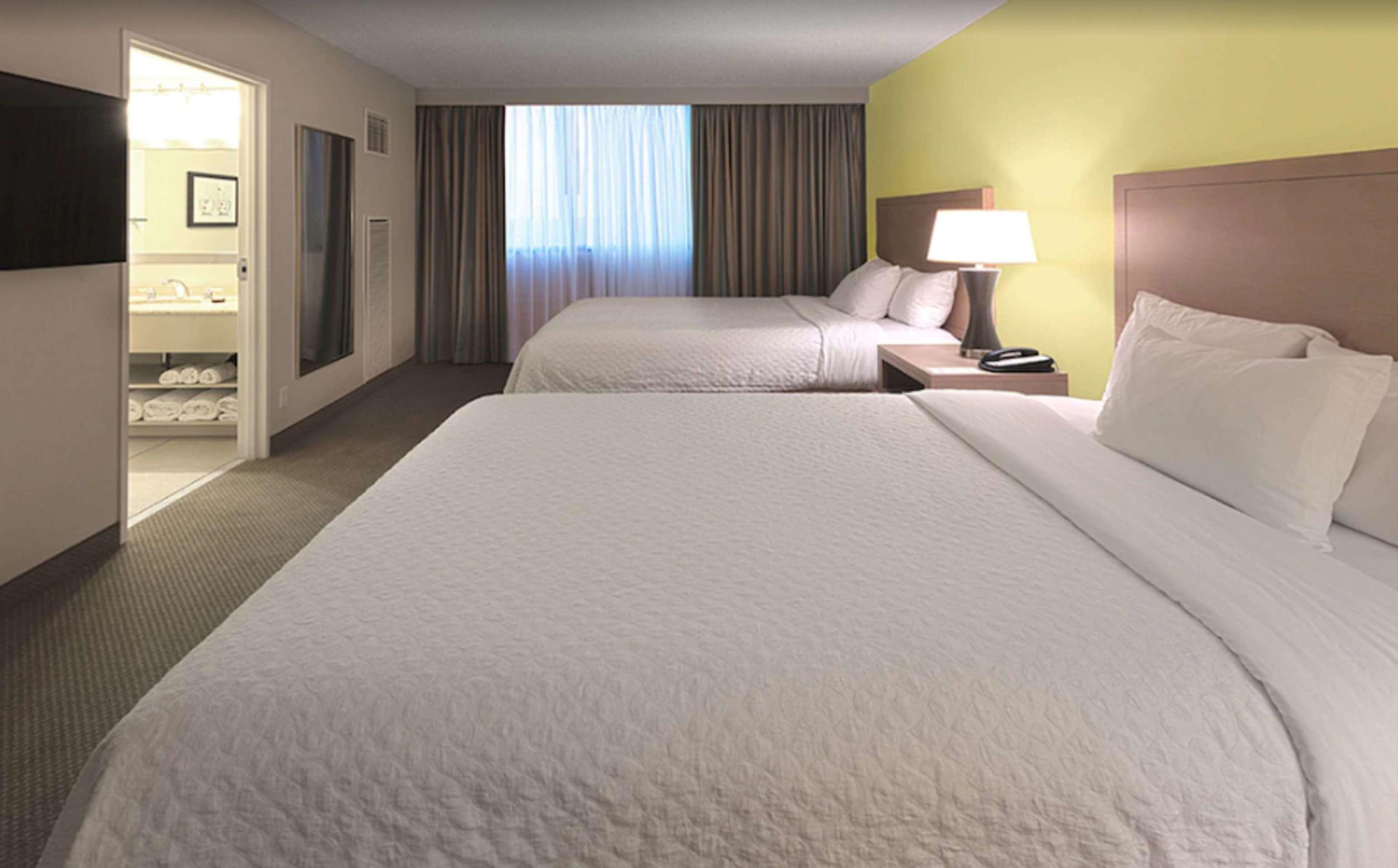 Embassy Suites by Hilton Tampa Airport Westshore — photo 4