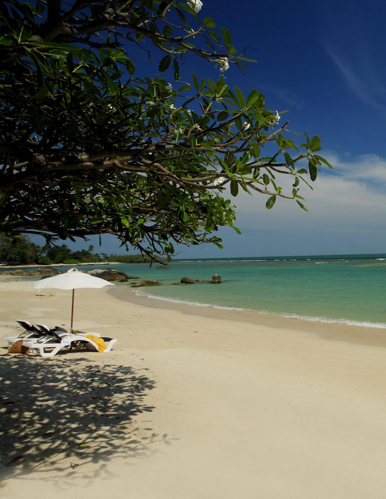 Centara Villas Samui — photo 4