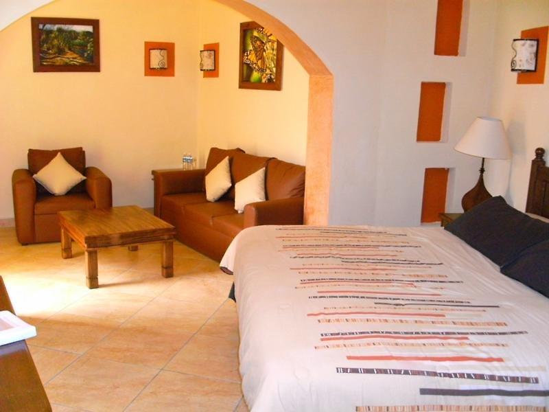 Casa del Virrey Hotel & Suites — photo 4