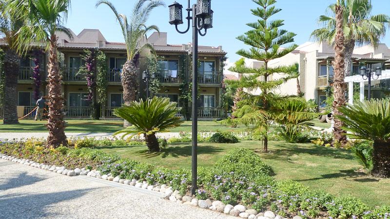 Paloma Oceana — photo 5