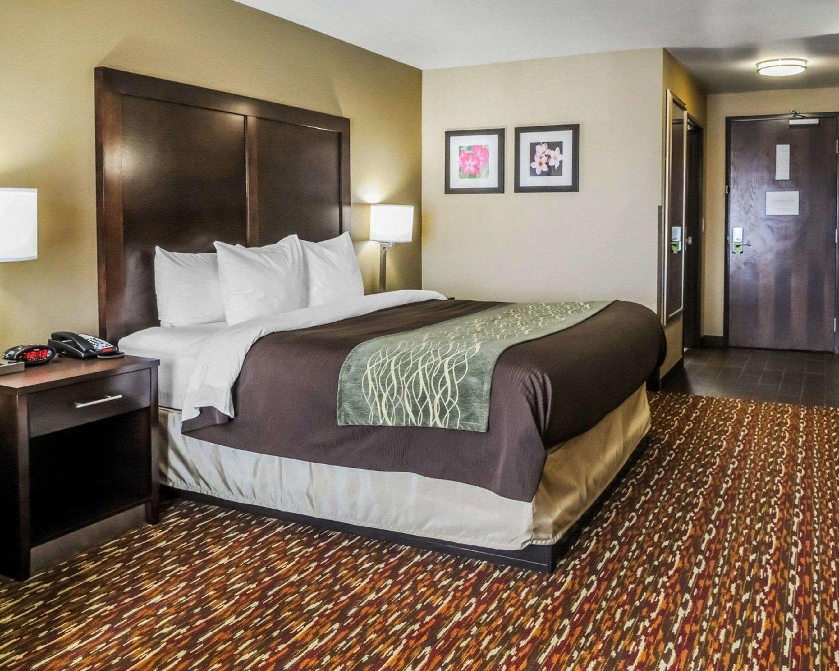 Comfort Inn & Suites Artesia — photo 5