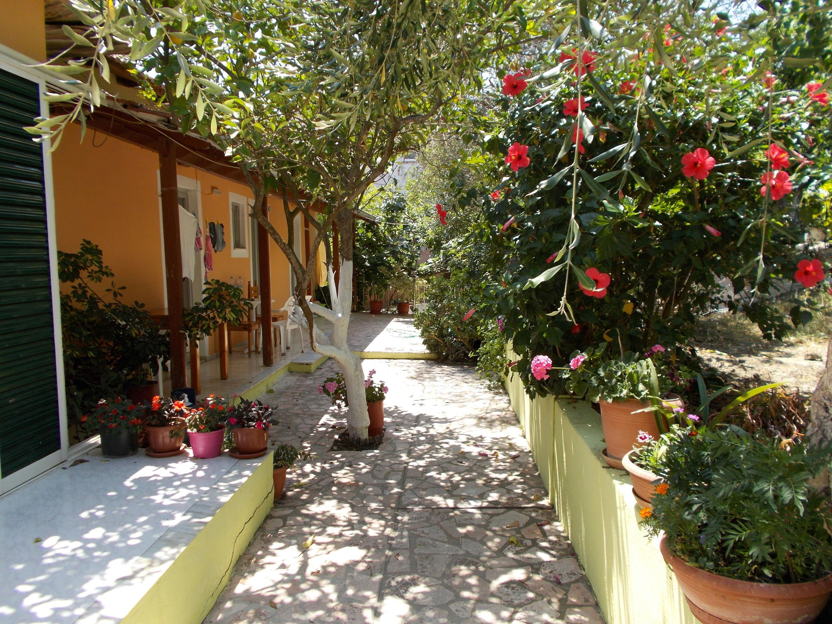 Kavos Fantasia Complex — photo 4