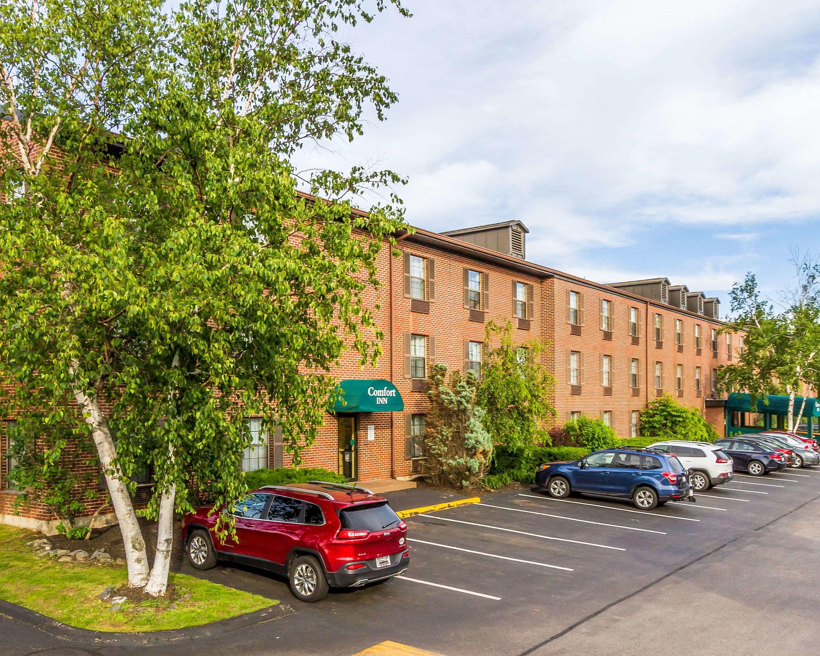 Comfort Inn Airport — photo 4