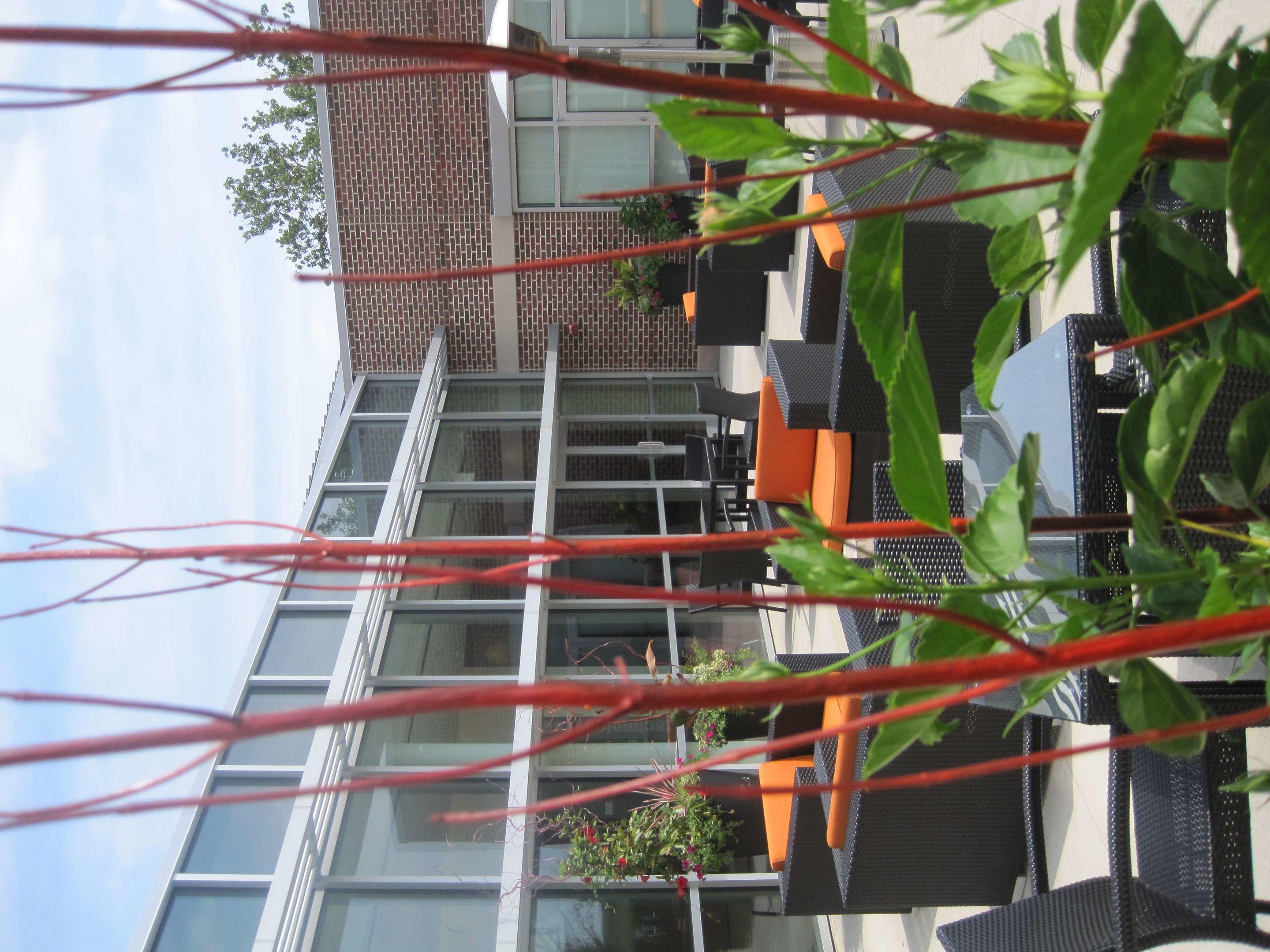 I Hotel & Conference Center — photo 3